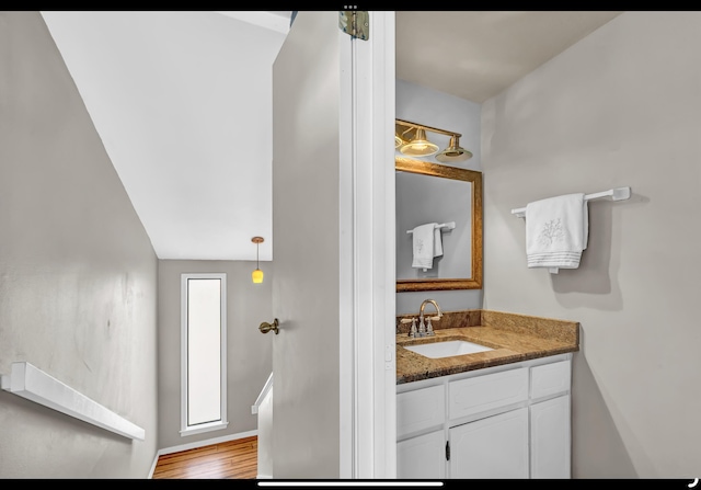 bathroom featuring vanity and wood finished floors