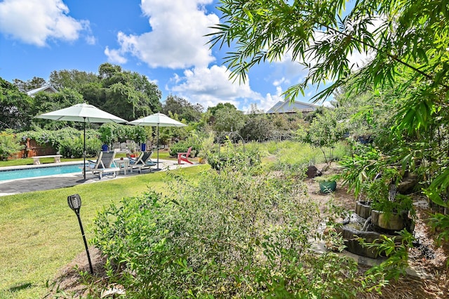 view of yard with a patio and an outdoor pool