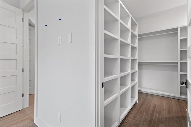 spacious closet with wood finished floors