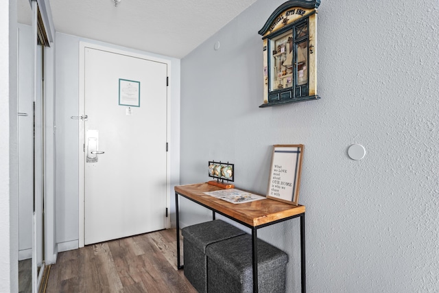 entryway featuring wood finished floors