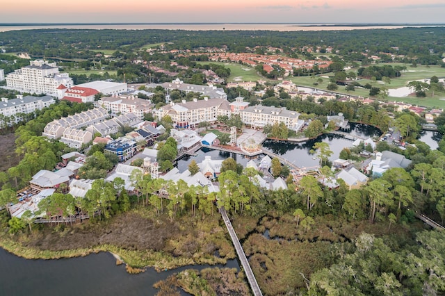 drone / aerial view with a water view