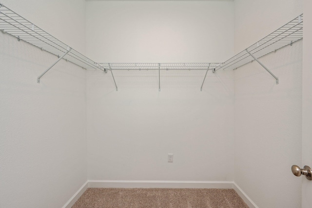 spacious closet with carpet flooring