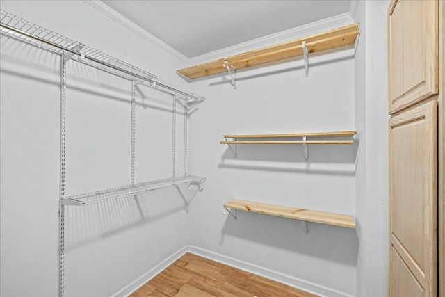 walk in closet featuring light wood finished floors