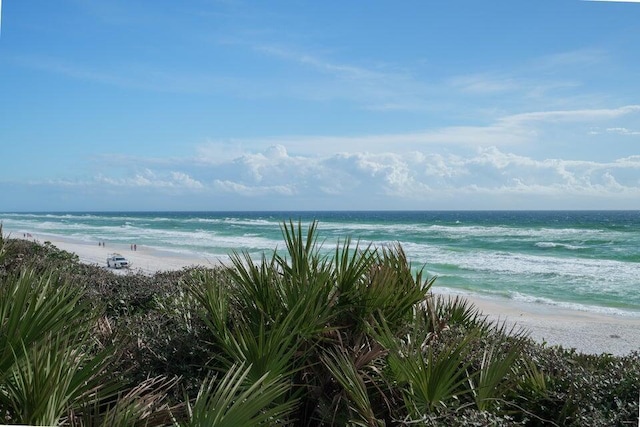 water view featuring a beach view