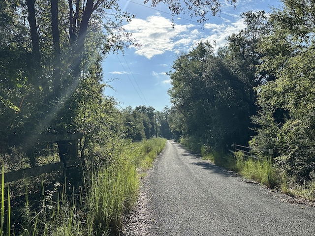 ParcelC Carroll Drive, Baker FL, 32531 land for sale