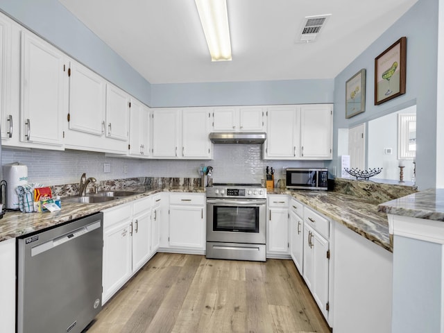 kitchen featuring light stone counters, visible vents, appliances with stainless steel finishes, a sink, and under cabinet range hood