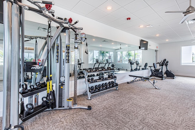 workout area with ceiling fan, carpet, a paneled ceiling, and baseboards