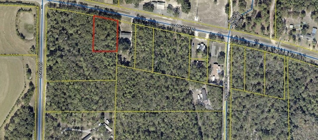 COHWY2 Co Highway 2, Laurel Hill FL, 32567 land for sale