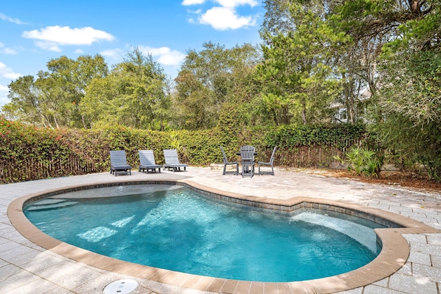 view of pool with a fenced in pool, a patio area, and a fenced backyard