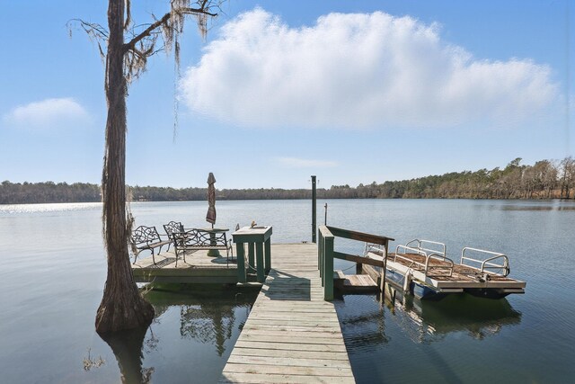 516 Blue Pond Cir, Ponce De Leon, FL 32455 - photo 4
