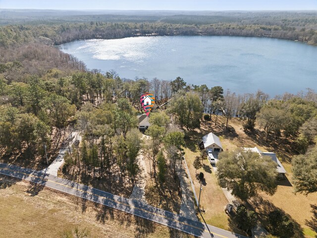 516 Blue Pond Cir, Ponce De Leon, FL 32455 - photo 42