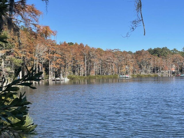 516 Blue Pond Cir, Ponce De Leon, FL 32455 - photo 46