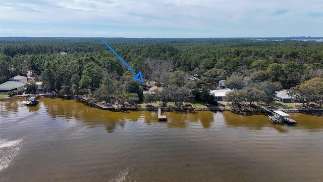 bird's eye view with a water view and a wooded view