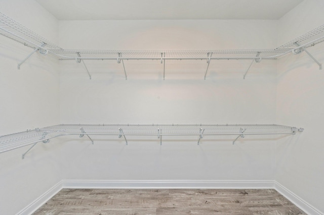 spacious closet with light wood-type flooring