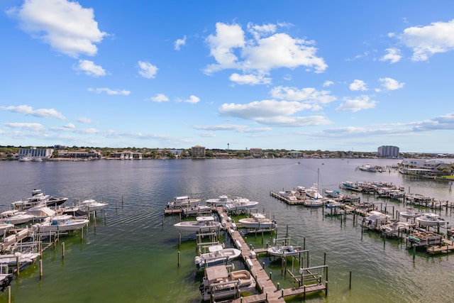 water view with a dock