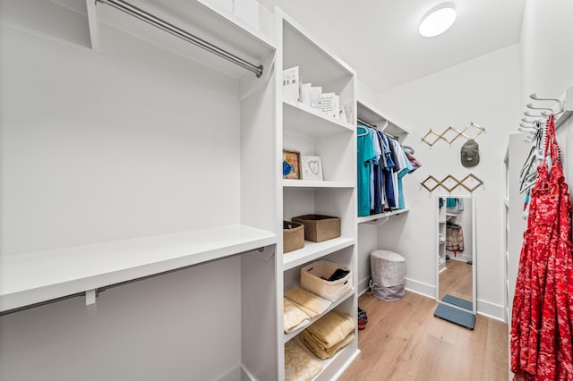 walk in closet with light wood-type flooring