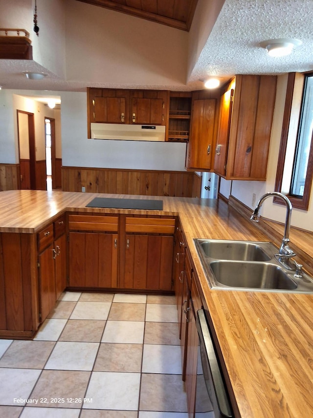 kitchen with brown cabinetry, wood counters, black electric stovetop, under cabinet range hood, and a sink