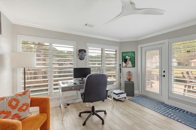 office area featuring light wood-style flooring, visible vents, ceiling fan, and crown molding