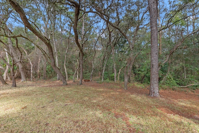 view of yard featuring a wooded view