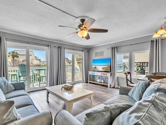 living area featuring ceiling fan, light wood-style flooring, and a healthy amount of sunlight