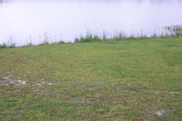 1100 Kings Lake Blvd, Defuniak Springs, FL 32433 - view of local wilderness