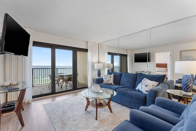 living room featuring light wood-style floors and a textured ceiling