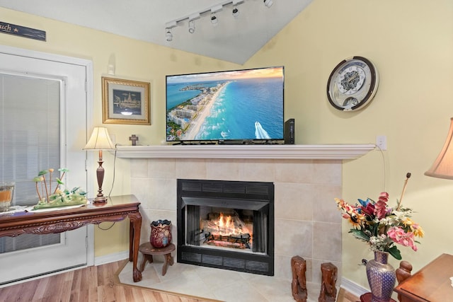 details featuring baseboards, a fireplace, track lighting, and wood finished floors