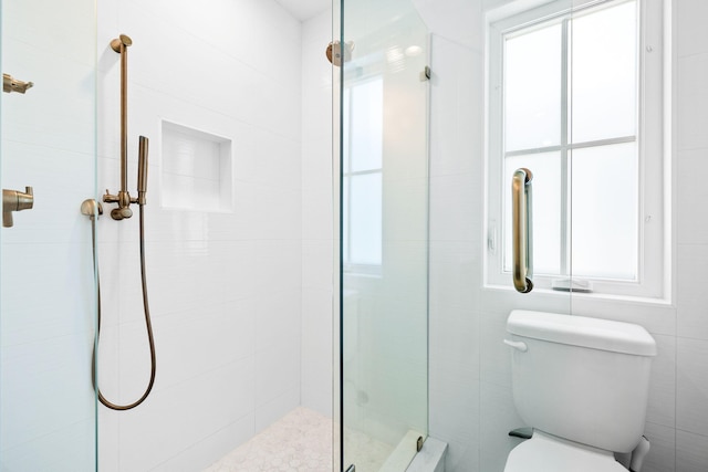 bathroom with a wealth of natural light, a shower stall, and toilet