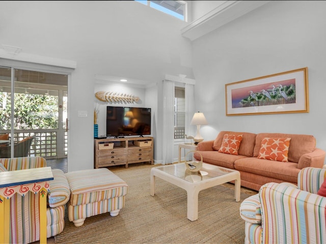 living area with a high ceiling