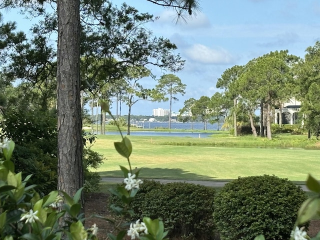 view of property's community with a yard