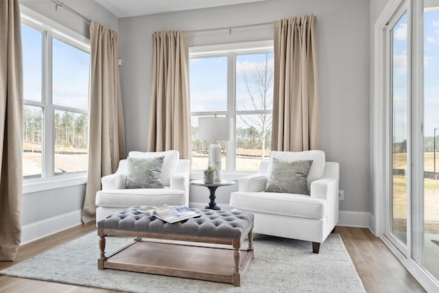 living area with light wood-style floors, plenty of natural light, and baseboards