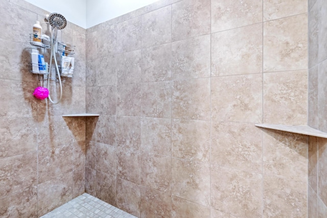 interior details with tiled shower