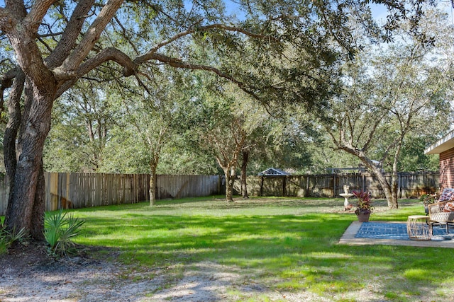 view of yard with a fenced backyard