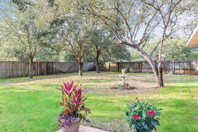 view of yard with a fenced backyard