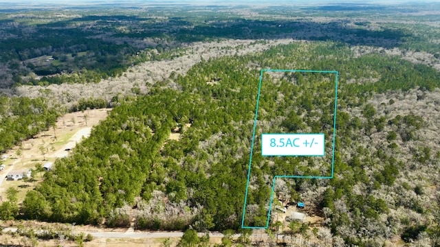 TBD White Creek Rd, Ponce De Leon FL, 32455 land for sale