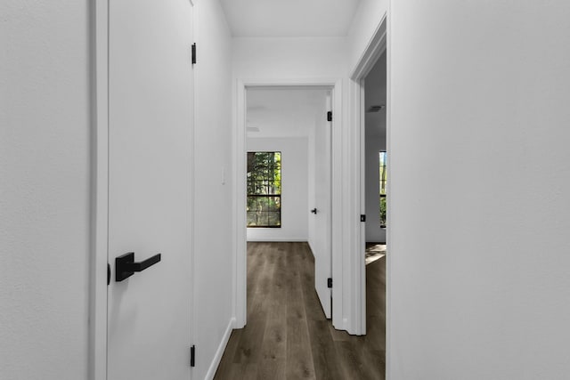 hall featuring baseboards and dark wood-style flooring