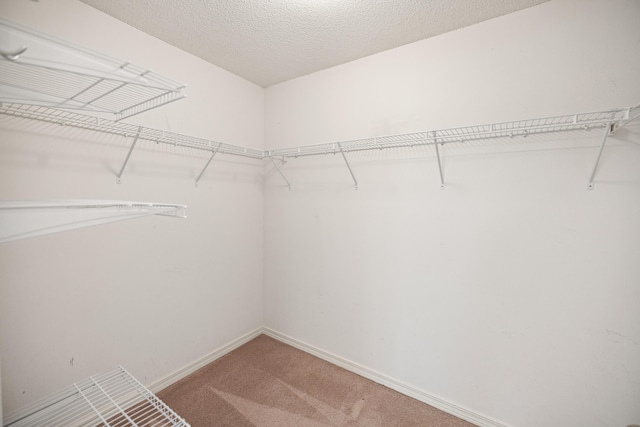 spacious closet featuring light carpet