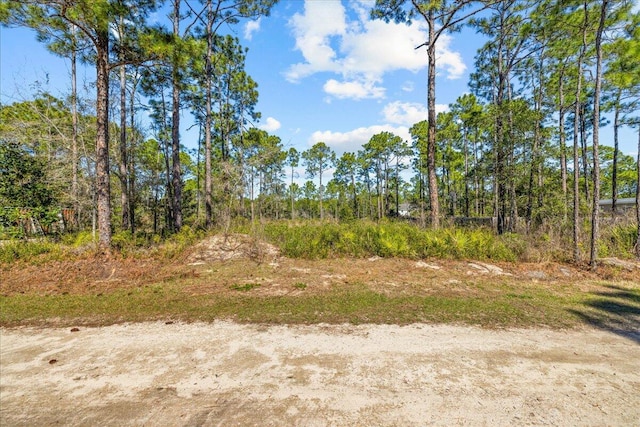 Listing photo 3 for LOT12 Duffy Ln, Santa Rosa Beach FL 32459