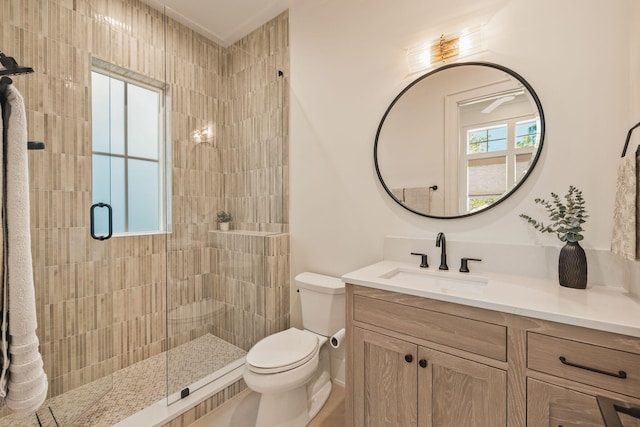 bathroom with toilet, a shower stall, and vanity