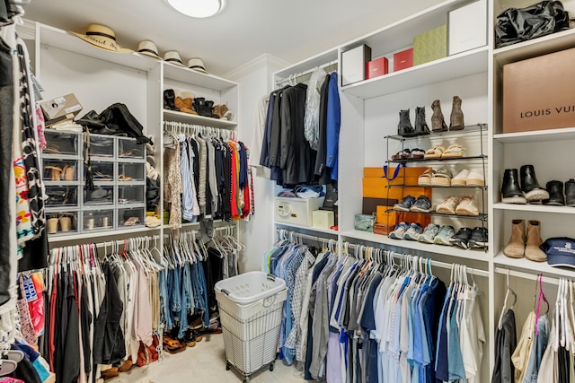 view of spacious closet