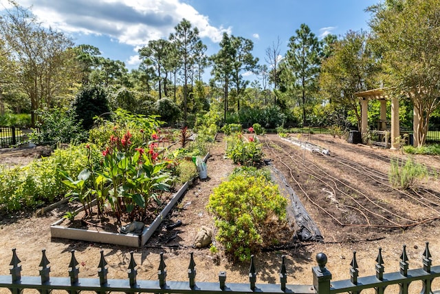 view of yard with a garden and fence