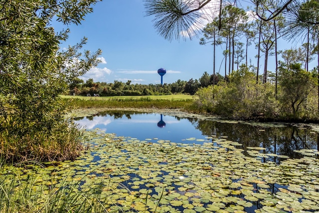 view of water feature