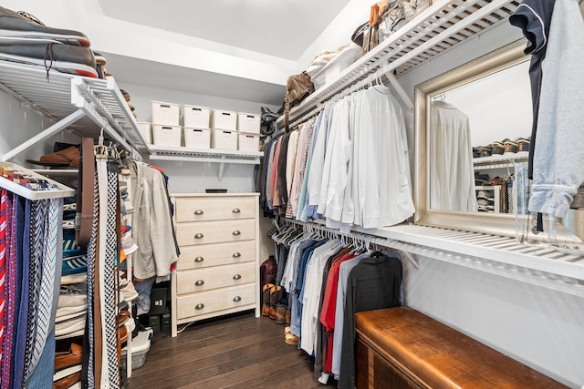 walk in closet with dark wood finished floors