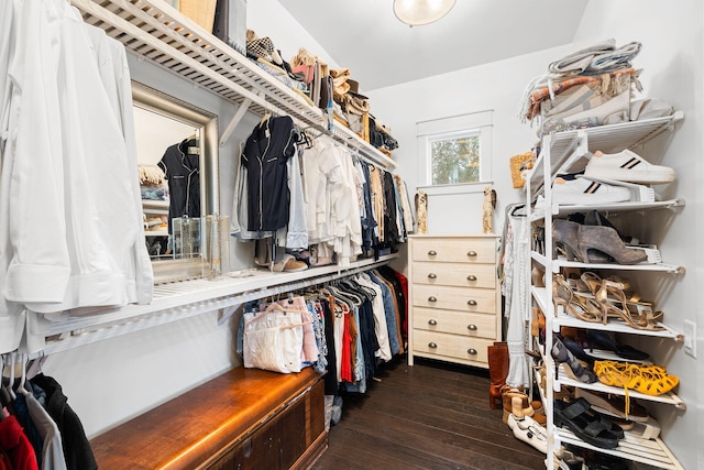 spacious closet featuring dark wood-type flooring