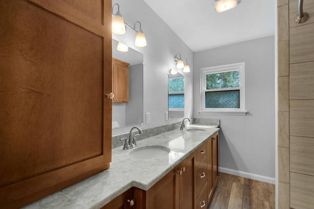 bathroom featuring double vanity, wood finished floors, baseboards, and a sink