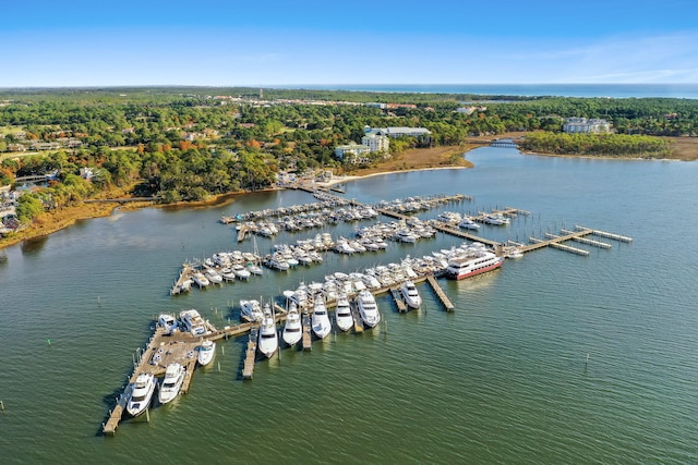 birds eye view of property with a water view and a wooded view