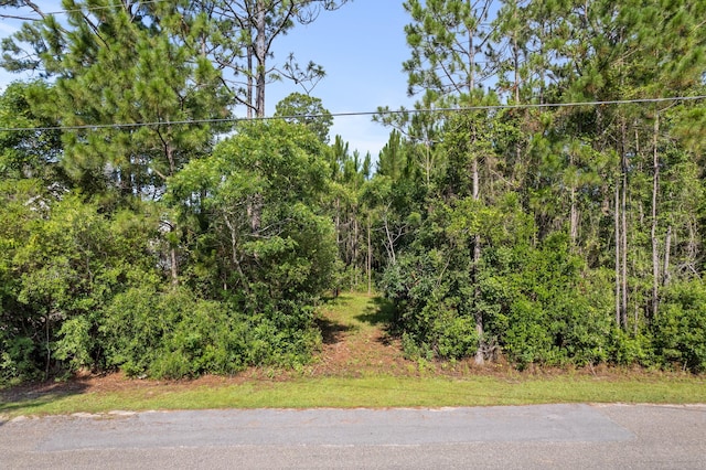 LOT6 Pisces Dr, Santa Rosa Beach FL, 32459 land for sale