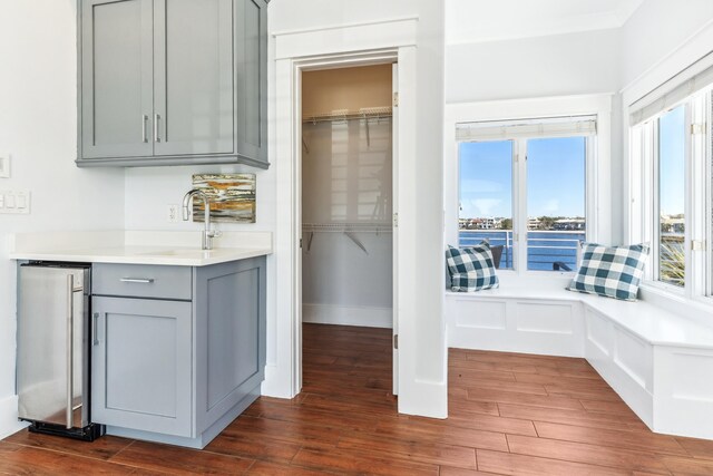 pantry featuring a sink