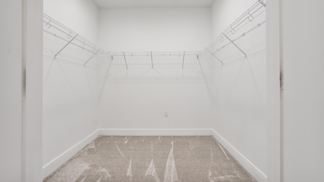 spacious closet with carpet
