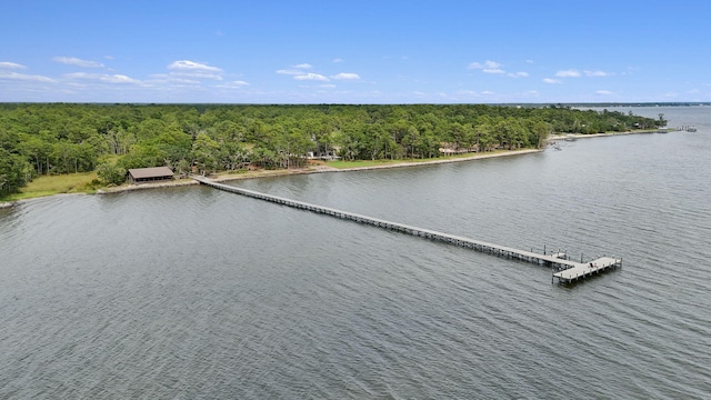 232 Brighton Cv, Freeport, FL 32439 - drone / aerial view of a heavily wooded area and a large body of water